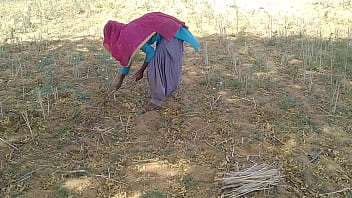 Desi Cowok India Ngentot Pacarnya Yang Seksi Di Ladang Saat Dia Lagi Kerja
