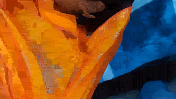 Malam Panas Pengantin India Di Bulan Madu Karwa Chauth