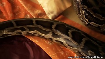 Rayuan Merayap Dari India Yang Menggoda