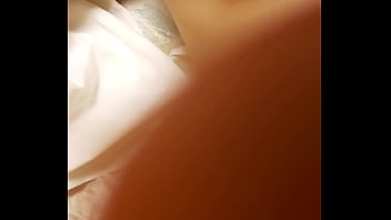 Mân Mê Bướm đào Trung Hoa