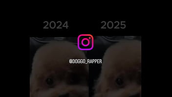 Anjing Oriental Yang Liar Dan Menggoda