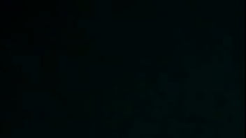 Anjing Menggonggong Dan Memek Berdansa