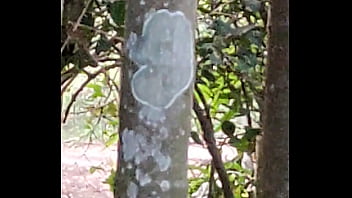 Desi Gadis Panas Di Luar Ruangan