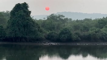 Aroma Henna Yang Menggoda, Membawa Naluri Ke Ranjang Tradisi India