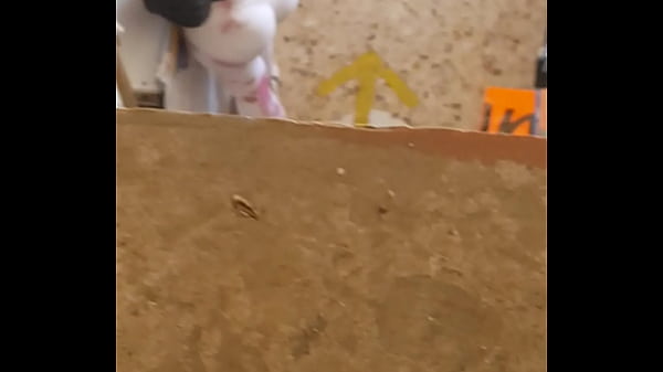 Goblok Ini Jalang Pake Celana Ketat Kebuka Lebar Pas Dia Jongkok.